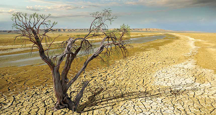 Climate change primarily refers to variations in the weather due to natural and human causes. Climate change primarily refers to variations in the weather due to natural and human causes.