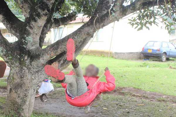A child plays on a swing made of rope in this picture taken on August 12, 2017. A two-year-old boy is said to have died in a swing accident in Makueni. A child plays on a swing made of rope in this picture taken on August 12, 2017. A two-year-old boy is said to have died in a swing accident in Makueni.