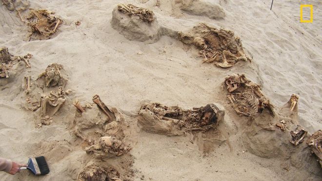 Just a few of the skeletons discovered in Huanchaquito, near modern-day Trujillo Just a few of the skeletons discovered in Huanchaquito, near modern-day Trujillo