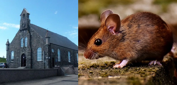 The church mouse and the tax man The church mouse and the tax man