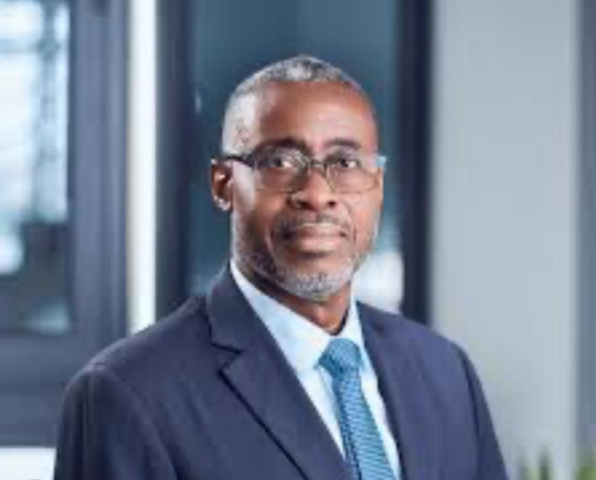 Ace Anan Ankomah - The writer Harmonising and strengthening mining-related legislation – The case of the two forests statutes