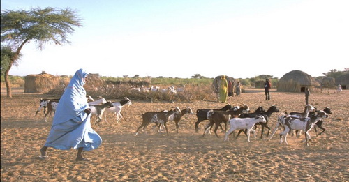 33 Mali villagers killed in armed raid