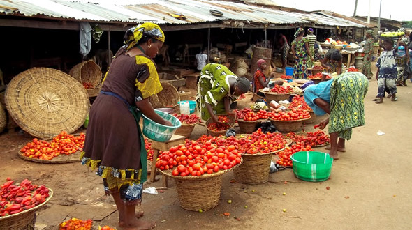 Food everywhere but preservation is a problem
