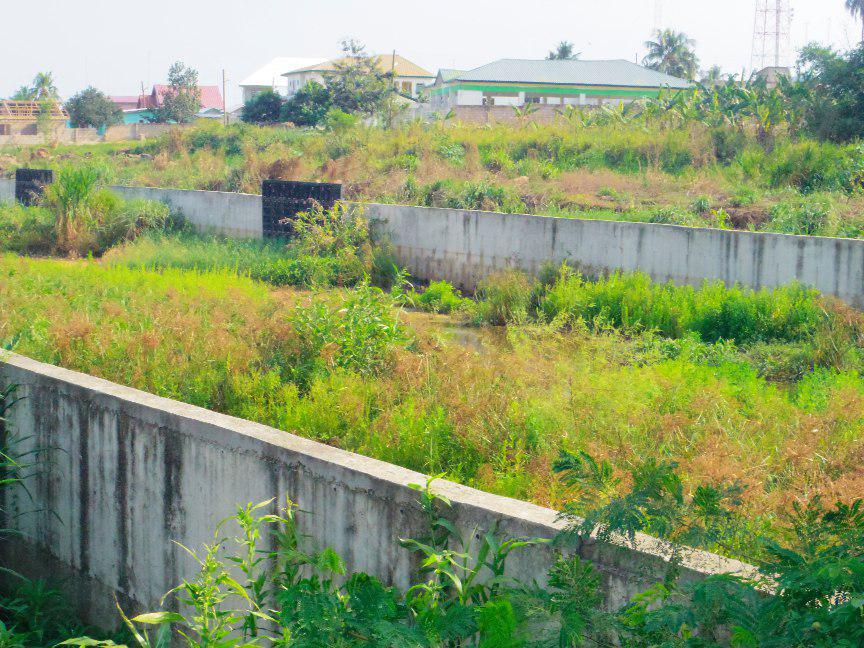 Part of the drain constructed that has  been taken over by weeds