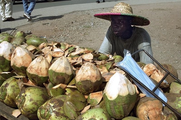 Coconuts, Watermelons and Tomatoes (cwt)
