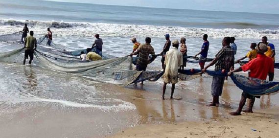 'Poor fish landings must be of concern to all'