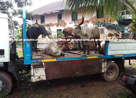 Four arrested for stealing six cattle