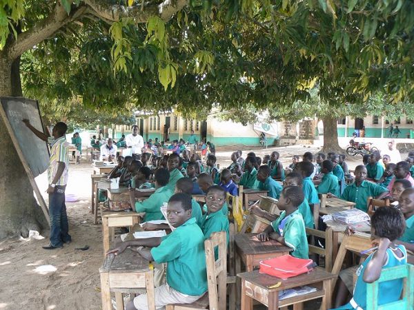 some students study under trees some students study under trees