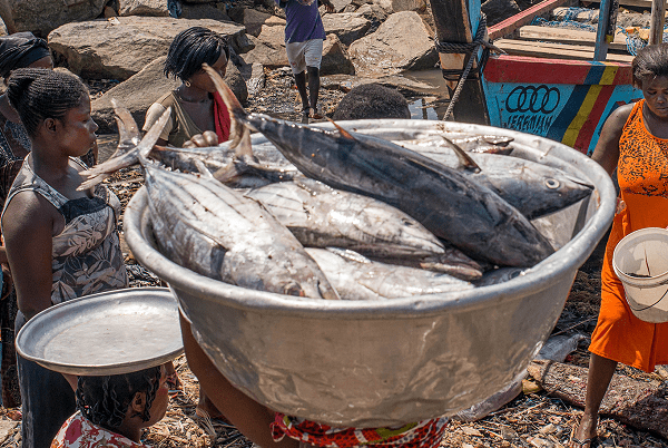 Fishmonger banished for refusing to pay fine imposed by Edina Traditional Council