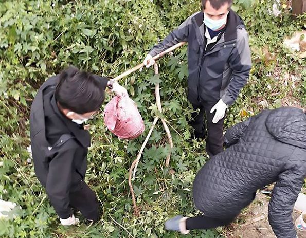 Police found the baby's remains in a red plastic bag hidden in a bush 