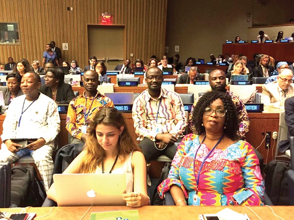 A section of participants in the 2019 High Level Political Forum (HLPF) at the United Nations A section of participants in the 2019 High Level Political Forum (HLPF) at the United Nations