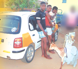 The suspects, with the two goats dressed like human beings The suspects, with the two goats dressed like human beings