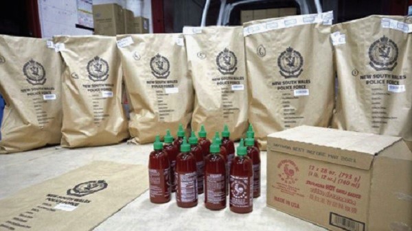 Police say the 768 bottles of hot sauce were en route to a lab so the drugs could be extracted Police say the 768 bottles of hot sauce were en route to a lab so the drugs could be extracted