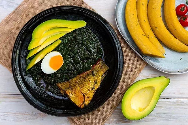 Good nutrition is crucial in supporting and maintaining our immune system Good nutrition is crucial in supporting and maintaining our immune system