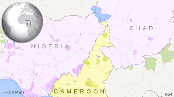 Boy mistakenly sets off grenade at Nigeria - Cameroon border killing 9