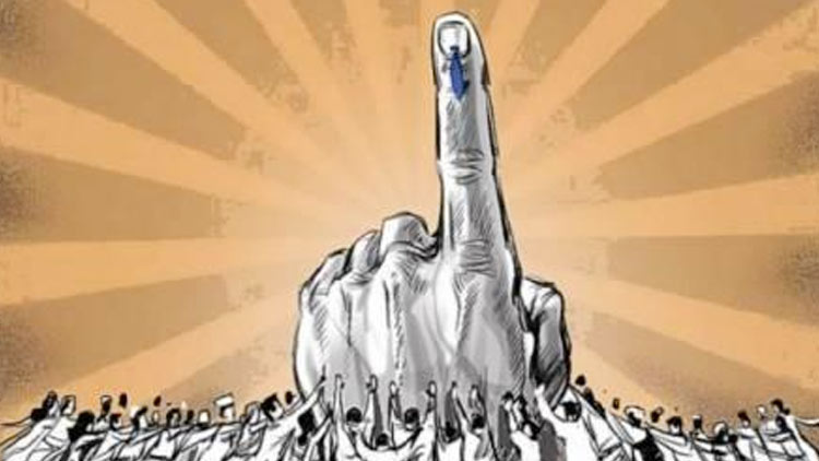 Can anybody vote in public elections?