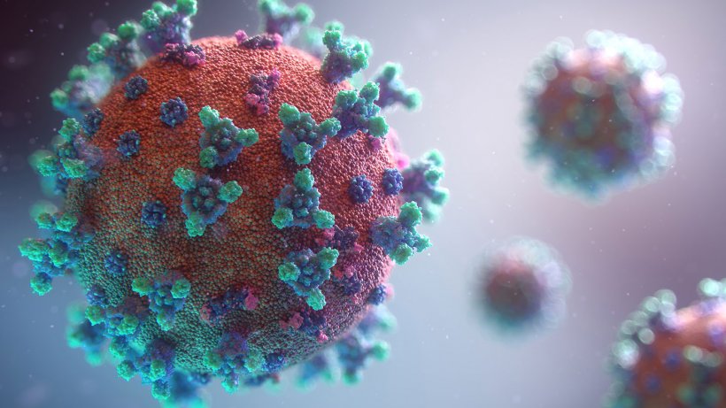 Major attitudinal and behavioural change required to live with the virus.