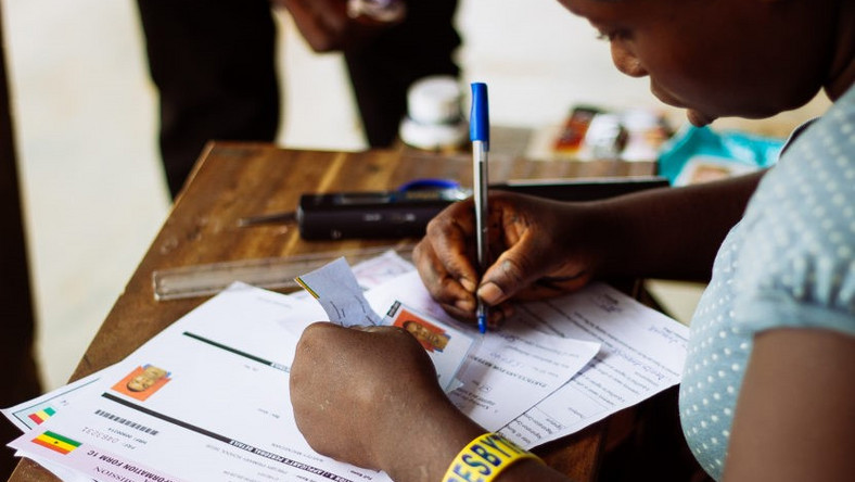 Supplementary voters register to include 830 missing names - EC