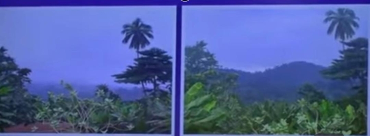 Z-9 helicopter was in good condition to fly; There was poor visibility - Committee