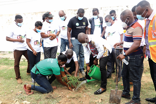 Mr Nii Adjei Sowah (bent), Mayor of Accra, being supported by Mr David Andoh (arrowed) to water a seedling to mark World Photography Day in Accra. Picture: SAMUEL TEI ADANO Mr Nii Adjei Sowah (bent), Mayor of Accra, being supported by Mr David Andoh (arrowed) to water a seedling to mark World Photography Day in Accra. Picture: SAMUEL TEI ADANO