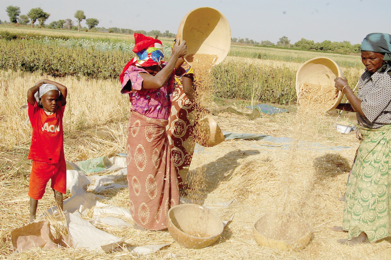 The MFA Activity will increase financing for smallholder farmers and agribusiness Farmers, agribusinesses to receive US$2.63m COVID-19 support