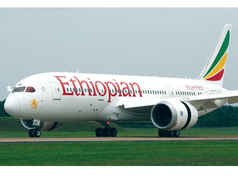 Both pilots are suspected of having fallen asleep after missing their landing Ethiopian's sleeping pilots suspended