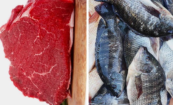 There is the widespread belief that fish is healthy and meat is not healthy. Fish or meat, which is better?