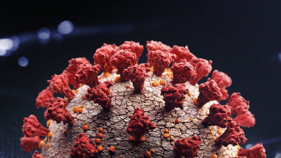 Covid: Don't panic about Omicron variant, WHO says