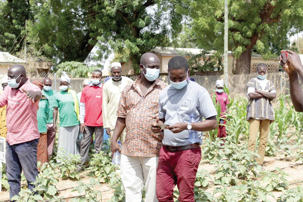 Farmers schooled on effective AMG fertiliser application