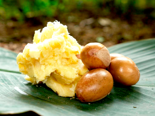 Shea nuts and its butter Shea nuts and its butter