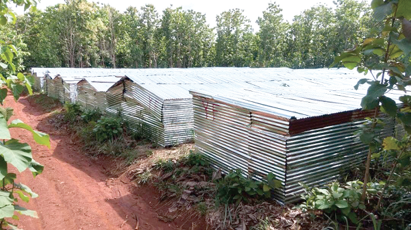 The aluminium sheet homes built by residents in the mining zones. Picture: DELLA RUSSEL OCLOO The aluminium sheet homes built by residents in the mining zones. Picture: DELLA RUSSEL OCLOO