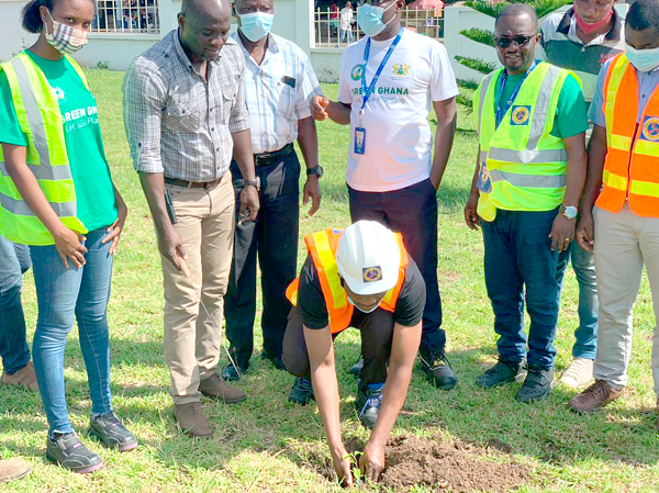 •Mr Emmanuel Lumor, the Volta,Oti Regional Manager of ECG planting a tree at the regional office. Behind him are some staff of the ECG •Mr Emmanuel Lumor, the Volta,Oti Regional Manager of ECG planting a tree at the regional office. Behind him are some staff of the ECG