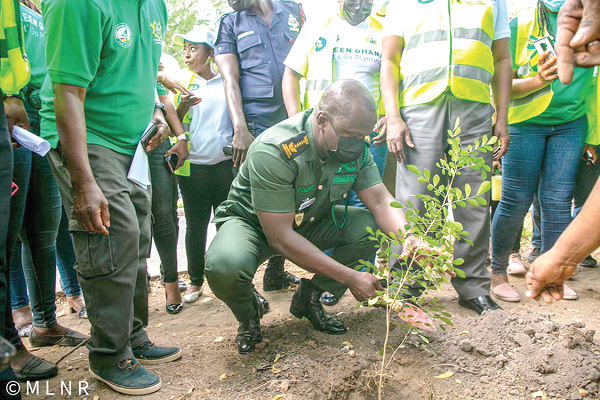 Mr Samuel Abu Jinapor, the Minister of Lands and Natural Resources, planting a tree at the ministry last Friday Mr Samuel Abu Jinapor, the Minister of Lands and Natural Resources, planting a tree at the ministry last Friday