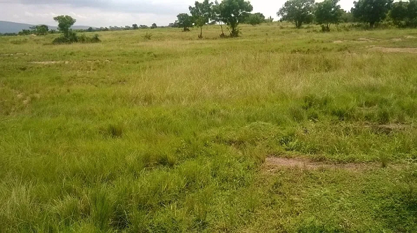Give us land to farm -Northern Region women farmers appeal to traditional rulers
