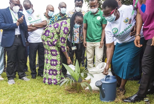 Vice-Chancellor of the Kwame Nkrumah University of Science and Technology KNUST, Professor Rita Akosua Dickson shoveling soil onto a plant. Green Ghana Project: KNUST plants 2,000 trees