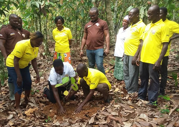 Green Ghana Day: Cocoa Abrabopa Association plants 1,500 trees Green Ghana Day: Cocoa Abrabopa Association plants 1,500 trees