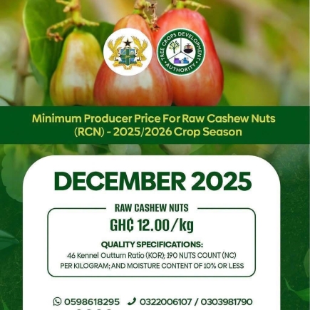 TCDA debunks ‘20% cut’ claims, insists cashew price stays at GH¢12 per kilo