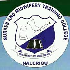 Health Minister suspends Nalerigu Nursing College Principal over ‘unauthorised admissions’