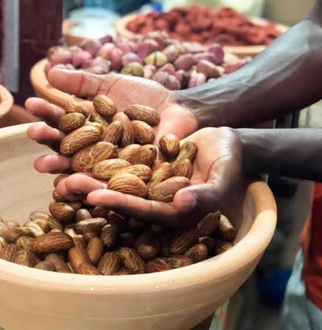 Bitter kola nuts are now on high demand Bitter kola nuts are now on high demand
