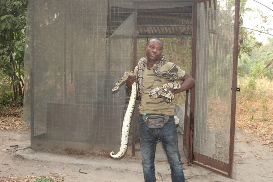 Gado Safie Zimmaziwo with the snakes Gado Safie Zimmaziwo with the snakes