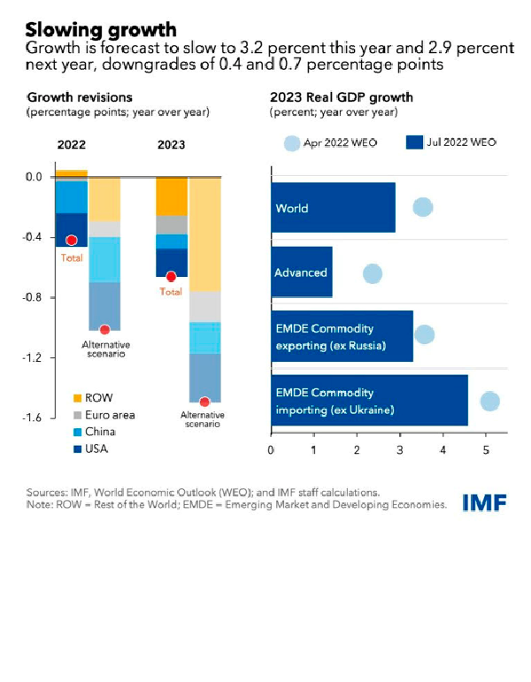 Global economic growth  slows amid gloomy outlook