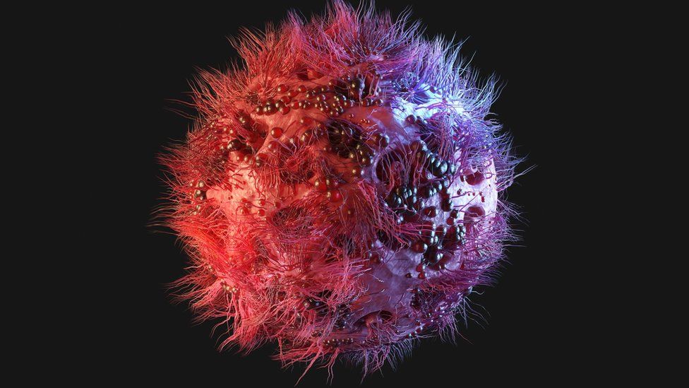Fourth patient seemingly cured of HIV Fourth patient seemingly cured of HIV