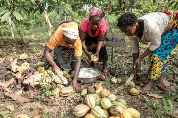 Experts say fair trade is the only means to improved livelihoods for farmers