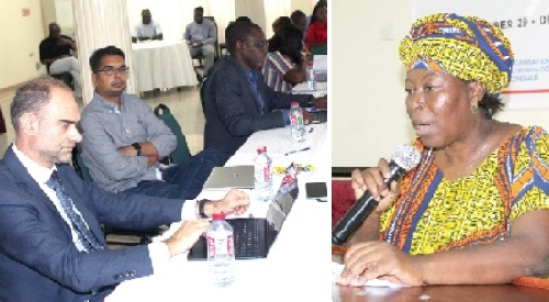 Adwoa Paintsil (inset), Ag. Executive Secretary of Water Resource Commission, addressing participants in the workshop. Picture: ESTHER ADJORKOR ADJEI Adwoa Paintsil (inset), Ag. Executive Secretary of Water Resource Commission, addressing participants in the workshop. Picture: ESTHER ADJORKOR ADJEI