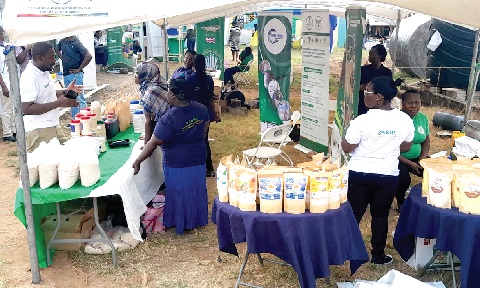 Some food products being displayed at the Koforidua Jubilee Park to mark the beginning of activities to celebrate Farmers Day Some food products being displayed at the Koforidua Jubilee Park to mark the beginning of activities to celebrate Farmers Day