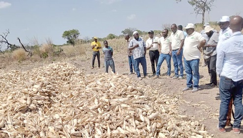 Officials of SAPIP and AfDB being conducted round the Ya-Na's farm Officials of SAPIP and AfDB being conducted round the Ya-Na's farm