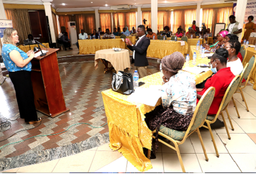 Kathleen Flynn-Dapaah (standing left), Acting High Commissioner of Canada to Ghana, speaking at the WILDAF Ghana Consultative workshop on the Shadow Report in Accra. Picture: SAMUEL TEI ADANO Kathleen Flynn-Dapaah (standing left), Acting High Commissioner of Canada to Ghana, speaking at the WILDAF Ghana Consultative workshop on the Shadow Report in Accra. Picture: SAMUEL TEI ADANO