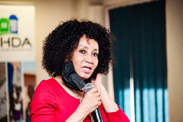 Lindiwe Sisulu accused some judges of being "mentally colonised"