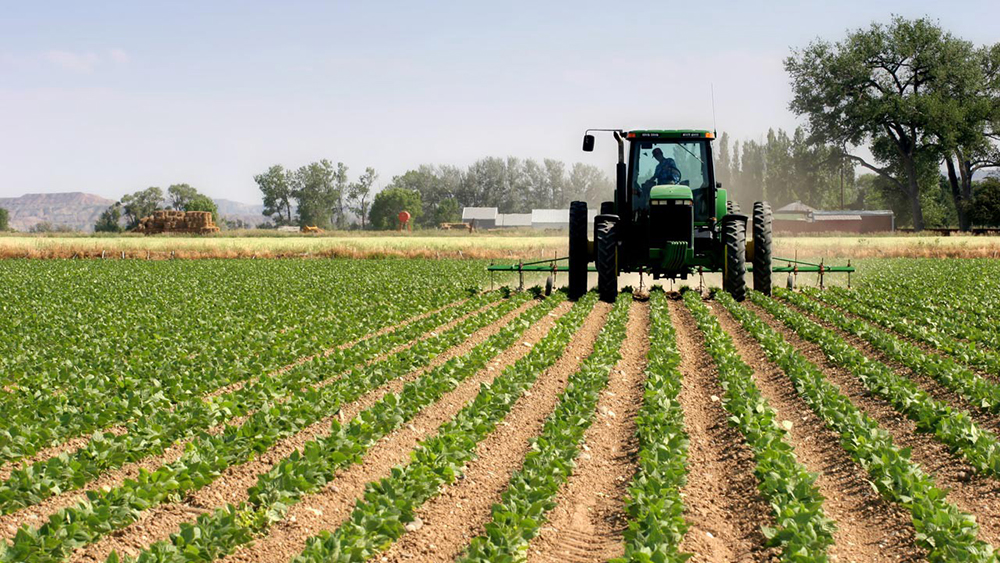 Government intends to scale up commercial farming to help meet demand and supply Government intends to scale up commercial farming to help meet demand and supply