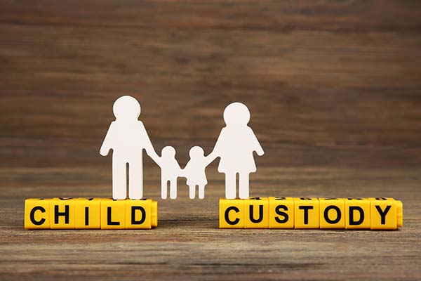 The principle of the law is that it is desirable to keep children together and not split them up. I want custody of my children